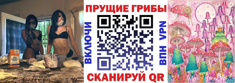 Псилоцибиновые грибы Psilocybe  Купить  Осташков 